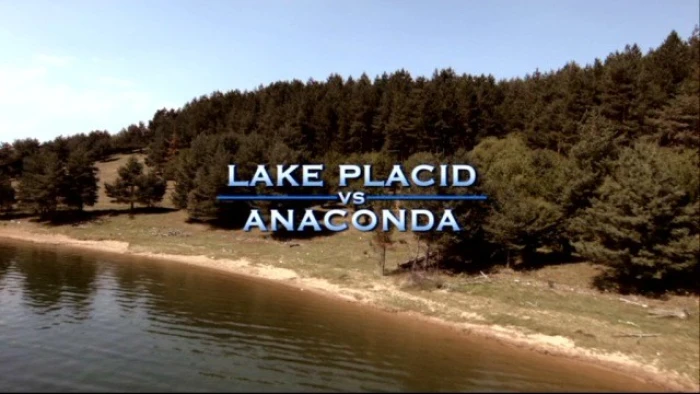 Title Card