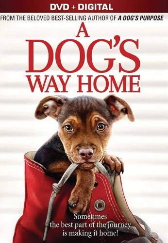 DVD Cover (Sony Home Entertainment)