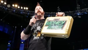 Money in the Bank 2015 Fallout