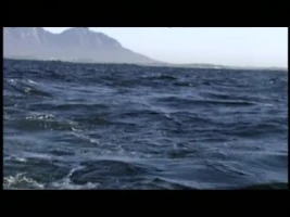 South Africa 1