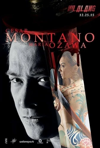 Theatrical Poster (Japan)