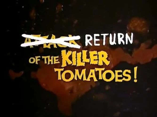 Title Card