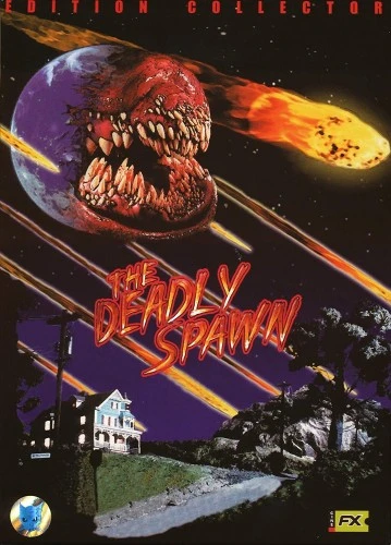 DVD Cover (France)