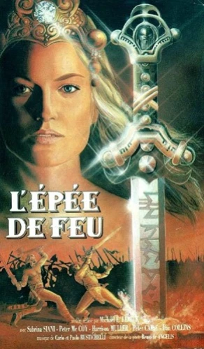 VHS Cover (France)