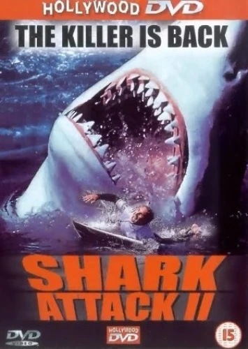 DVD Cover (Hollywood DVD)