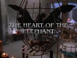The Heart of the Elephant: Part 1