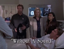Without a Sound