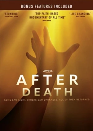 DVD Cover (Angel Studios)