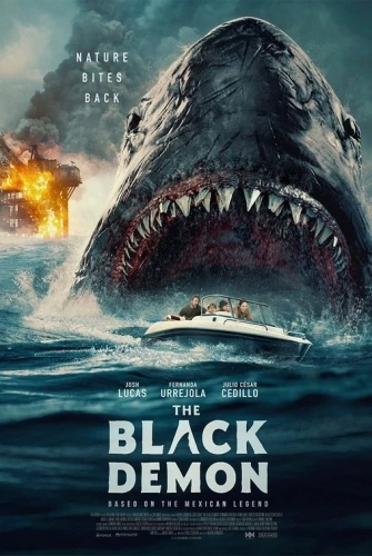 Theatrical Poster (USA)