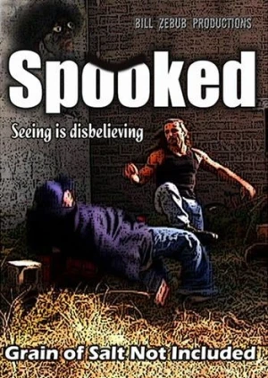 DVD Cover (Grimoire)