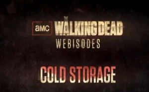 Cold Storage: Hide and Seek