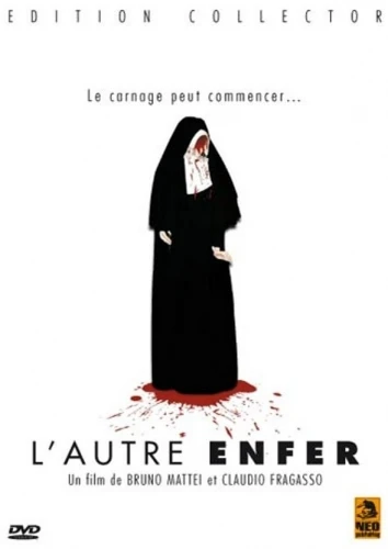 DVD Cover (France)