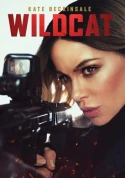Wildcat