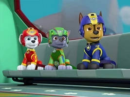 Pups Save a City Kitty/Pups Save a Cloud Surfer
