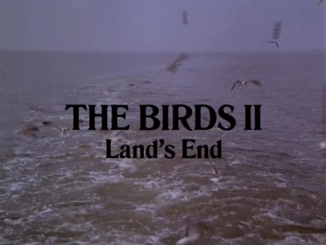 Title Card