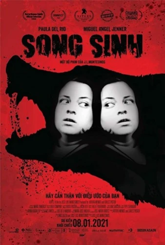 Theatrical Poster (Vietnam)