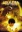 Gamera The Brave