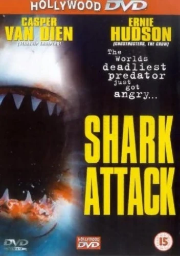 DVD Cover (Hollywood DVD)