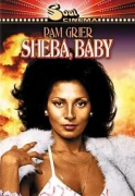 Sheba, Baby