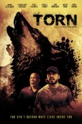 Torn