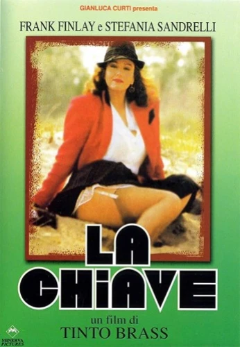 DVD Cover (Italy)