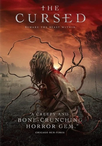 DVD Cover (Decal Releasing)