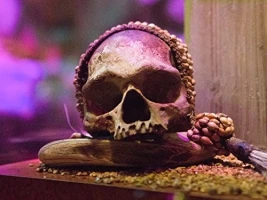 Ripley's Believe It or Not