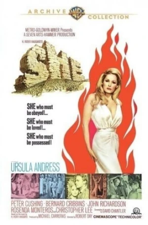 DVD Cover (Warner Brother)
