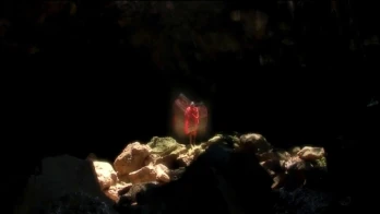 Alien Resurrections