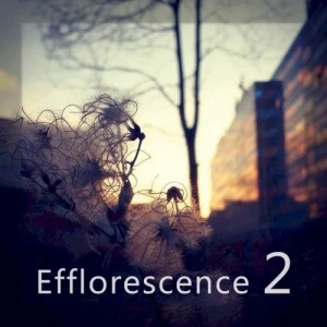 Efflorescence 2
