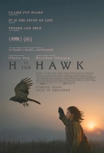 Theatrical Poster