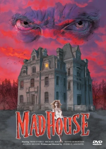DVD Cover (France)