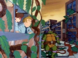 Turtles of the Jungle