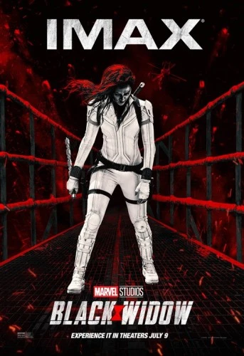 Theatrical Poster (USA)