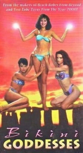 VHS Cover (Cinema Home Video)