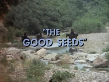 The Good Seeds