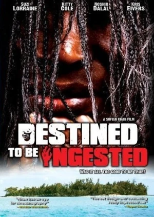 DVD Cover (Midnight Releasing)