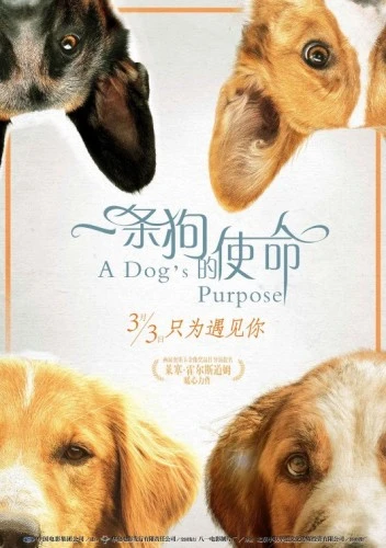 Theatrical Poster (Japan)