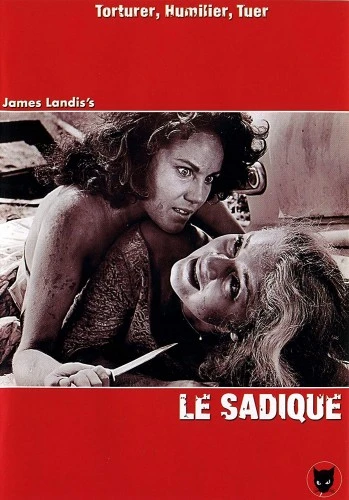 DVD Cover (France)