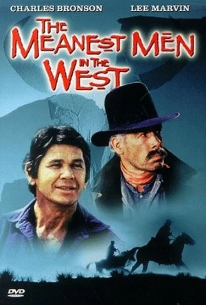 DVD Cover (Universal)