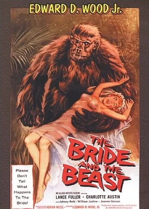 DVD Cover (Retromedia)