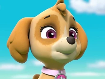 Pups Save an Adventure/Pups Save a Surprise