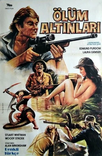 Theatrical Poster (Turkey)