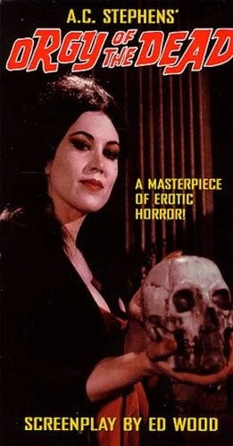 VHS Cover (Wea-Des Moines Video)