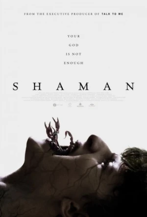 Theatrical Poster