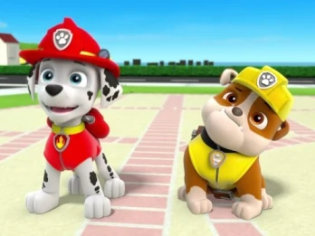 Pups Great Race/Pups Take the Cake