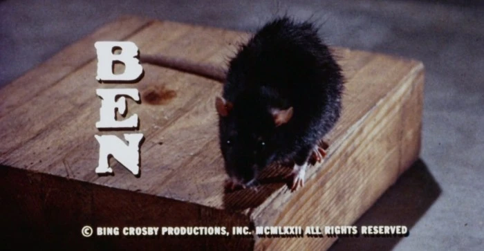 Title Card