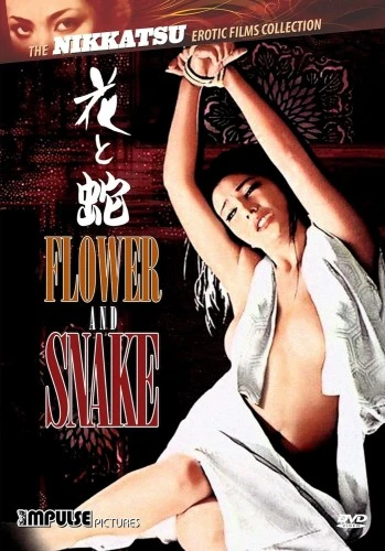 DVD Cover (Impulse Pictures)