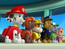 Pups Go All Monkey/Pups Save a Hoot