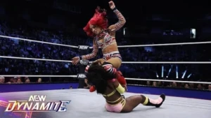 WrestleDream 2024 Fallout